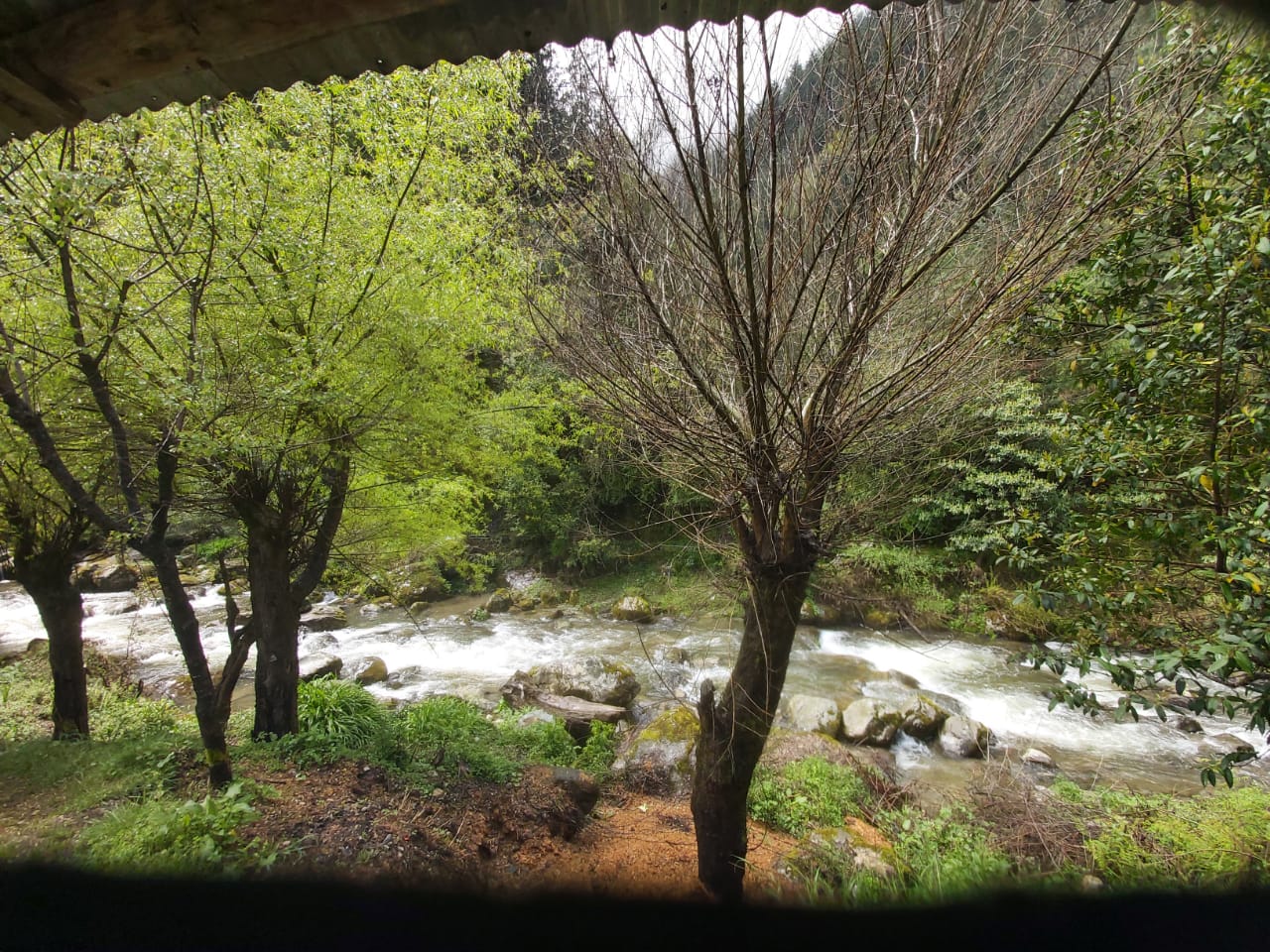 3WhatsApp Image 2025-07-04 at 14.33.25_02fd88ba.jpg